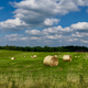 Illustration for article titled Pics from southern Indiana